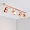 Dunelm Carter 4 Light Copper Spotlight -Dunelm Lights Sales 30575504