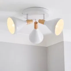 Elements Wolston 3 Light Spotlight