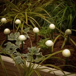 Dunelm 10 Solar Mushroom String Lights