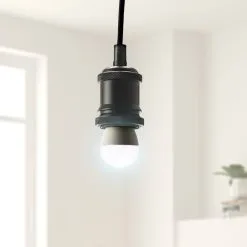 Status 4W Day Light Pearl SES Mini Globe 2 Pack