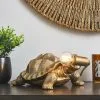 Dunelm Tafari Tortoise Table Lamp -Dunelm Lights Sales 30770180
