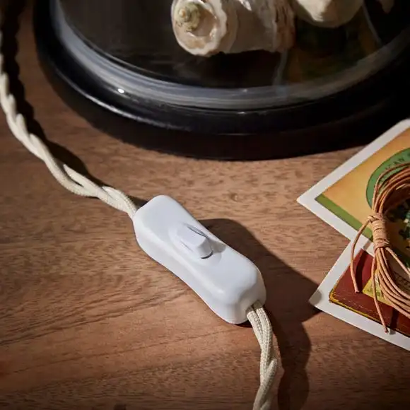 Natural History Museum Table Lamp Clear And Brass 4 Natural History Museum Table Lamp Clear And Brass - Image 4