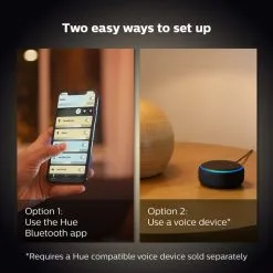 Philips HUE Smart 4 Watt SES LED Tunable Luster Bulb 2 Pack -Dunelm Lights Sales 30838358 alt04