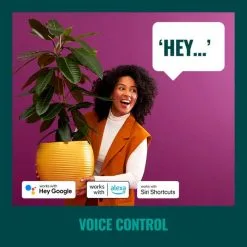 WiZ Connected WiZ 48ft Smart Ambient Outdoor String Lights -Dunelm Lights Sales 30838383 alt05