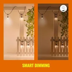 WiZ Connected WiZ 48ft Smart Ambient Outdoor String Lights -Dunelm Lights Sales 30838383 alt06